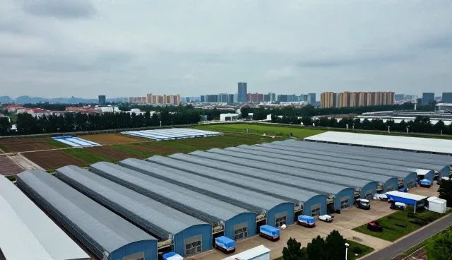 版权登记中顾问团队如何应对常见问题
