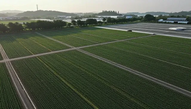 知识产权维护策略中的商标注册覆盖范围与适用场景分析